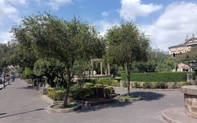 Este 25 y 26 de abril se desarrollará el primer festival «Entre Pétalos» en Quetzaltenango