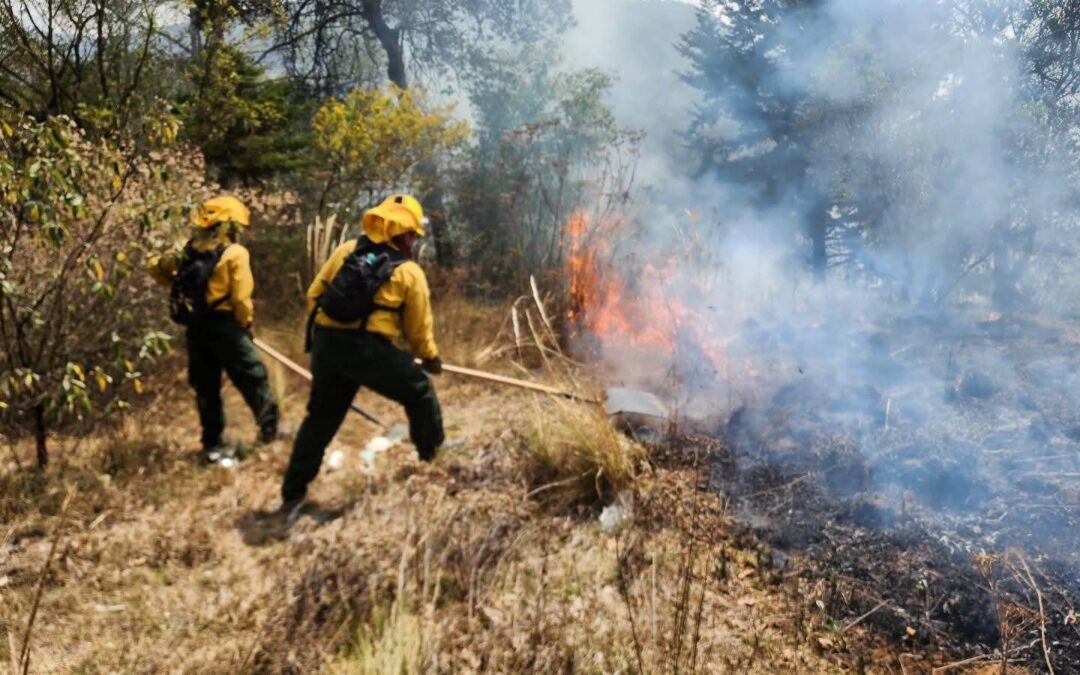 Incendio forestal en Totonicapán