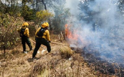 Incendio forestal en Totonicapán