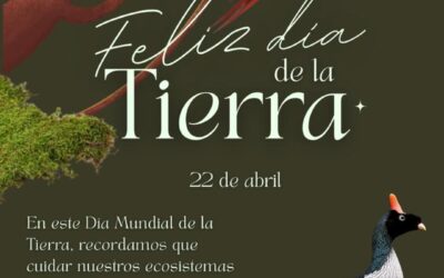 Hoy es el Día Mundial de la Tierra