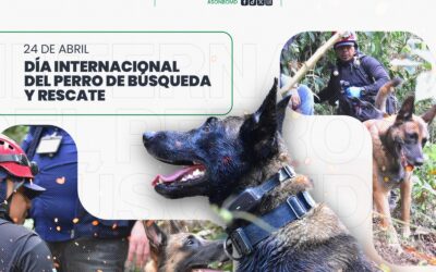 Conmemoran el Día Internacional del Perro de Búsqueda y Rescate