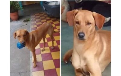 Buscan a “COKY” en Quetzaltenango