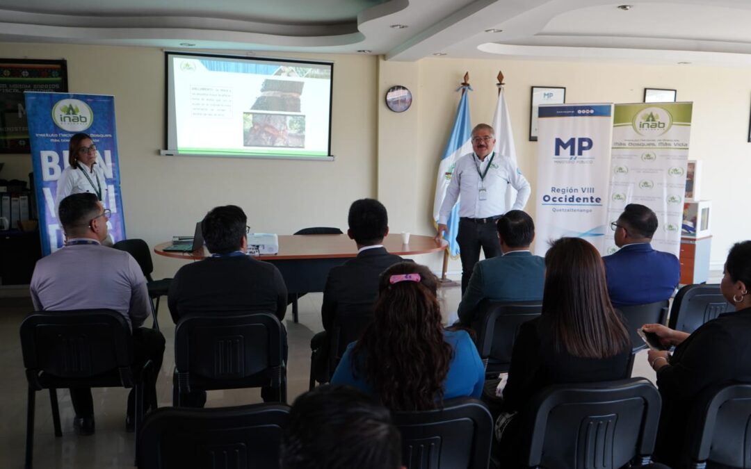 Capacitan a fiscales de Quetzaltenango en normativa y protección forestal