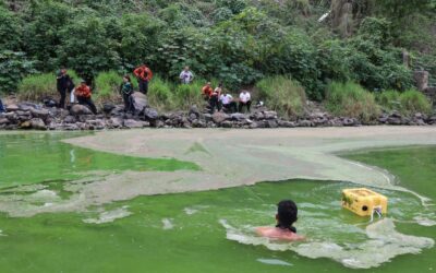 Vehículo cae al lago de Amatitlán