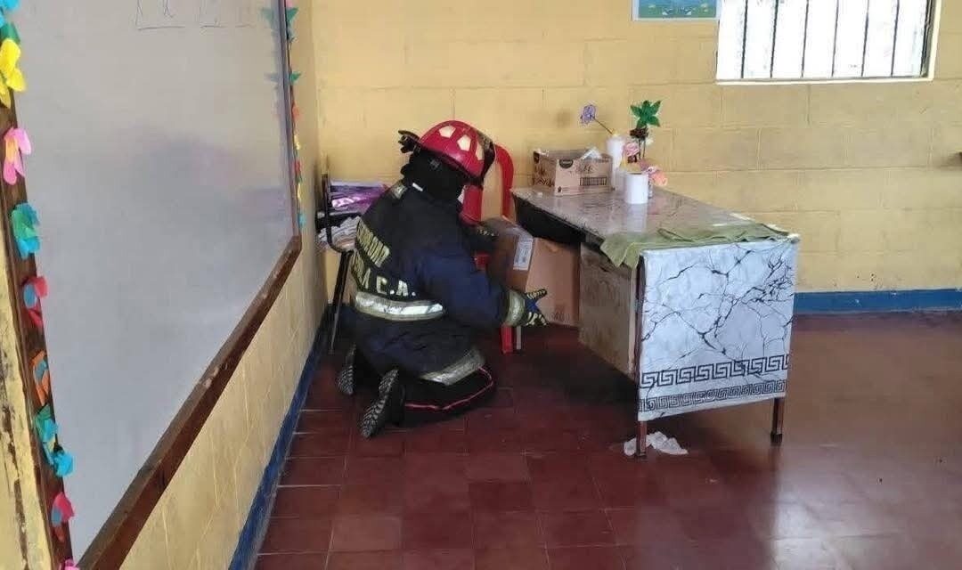 Evacúan escuela en Sanarate por enjambre de abejas bajo escritorio