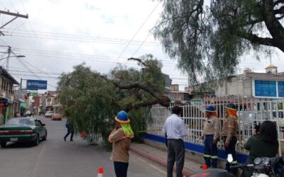 Árbol cae en el Hospital Rodolfo Robles de Quetzaltenango y daña infraestructura
