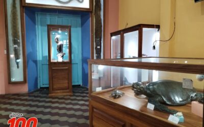 Celebrarán el Día Internacional de los Museos con jornada de «Cuenta Cuentos»