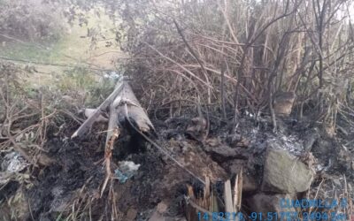 Corte de energía eléctrica por incendio de maleza mal controlado