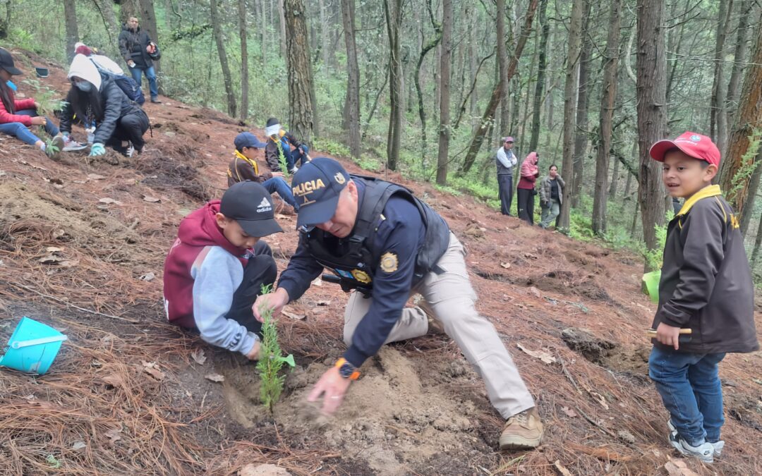 Agentes de Disetur, alumnos y guardabosques participan en reforestación