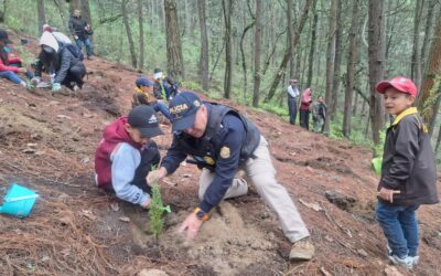 Agentes de Disetur, alumnos y guardabosques participan en reforestación