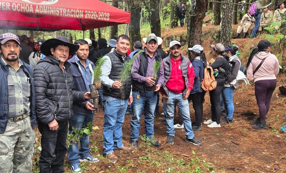 Sibilia es escenario de una masiva jornada de reforestación para proteger las fuentes de agua en el occidente