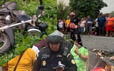 Motorista fallece tras ser atacado por abejas y chocar contra un árbol en Coatepeque