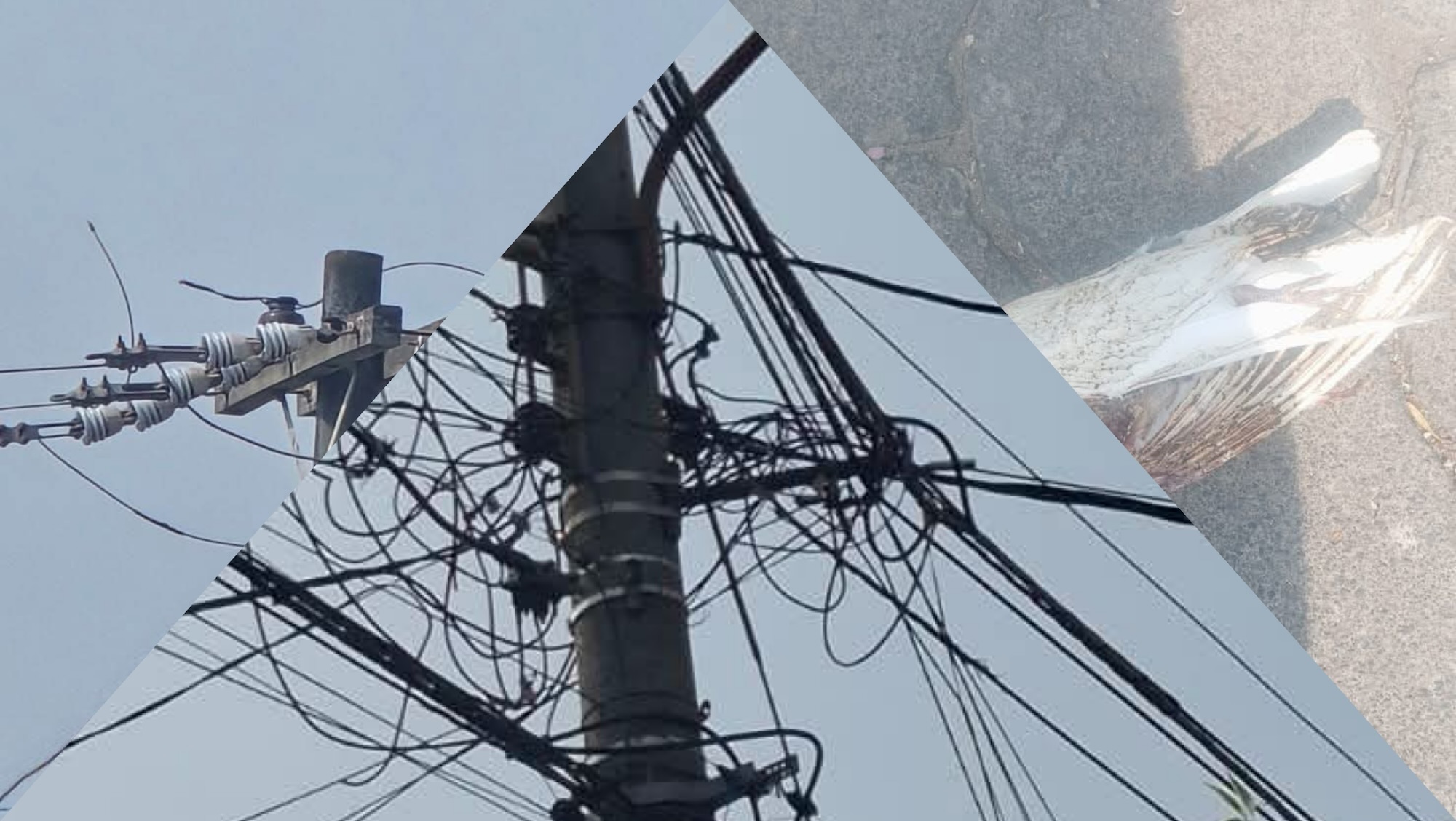 photo-output.jpg