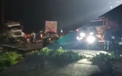 URGENTE: Bloqueo total en la ruta Cito-180; camiones leñeros cierran el paso en San Felipe
