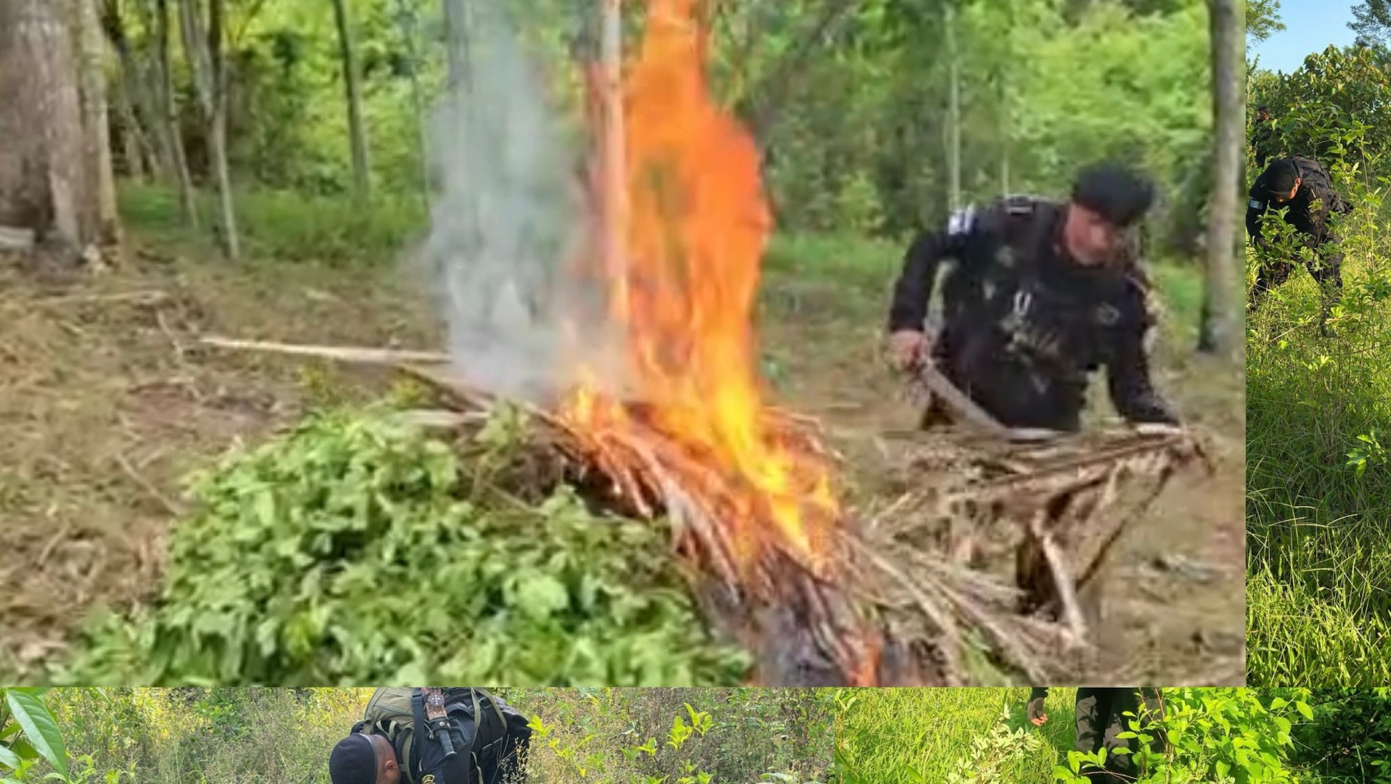 photo-output.jpg