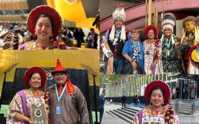 Umial Tinimit Re Xelajuj No’j representa a Guatemala en cumbre de pueblos indígenas en las Naciones Unidas