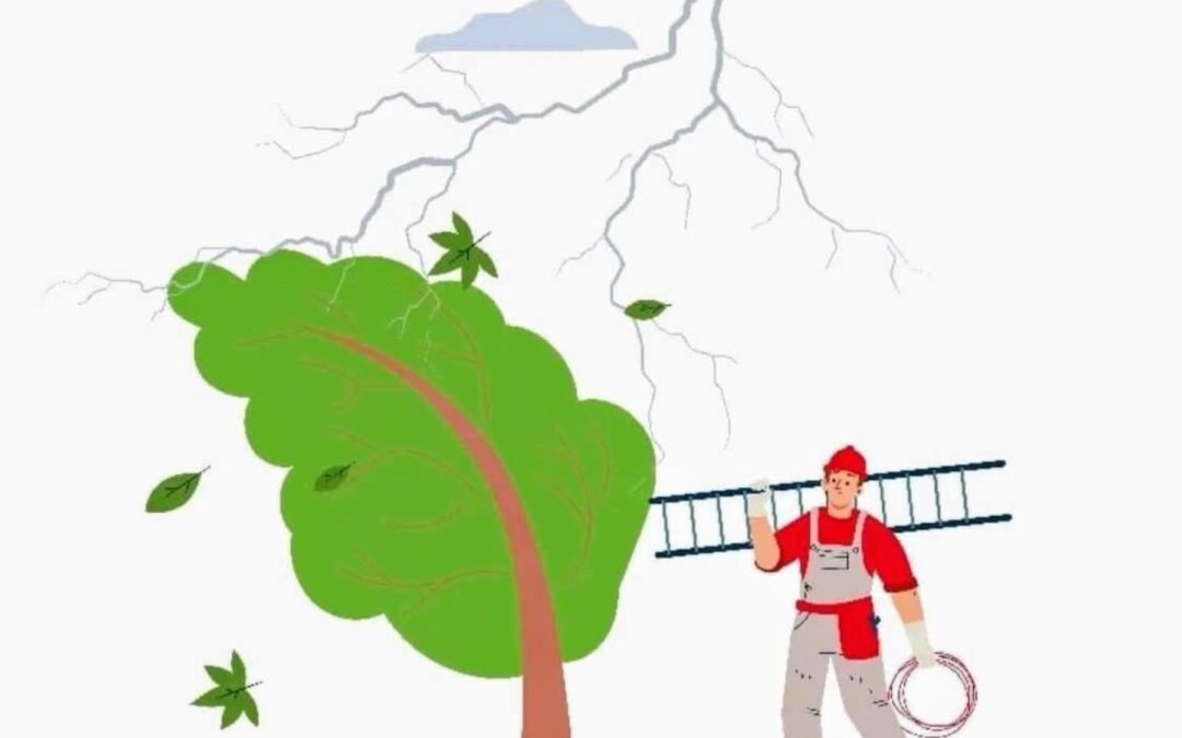Falla eléctrica por causas climáticas moviliza a cuadrillas de la EEMQ en el Centro Histórico y zonas aledañas