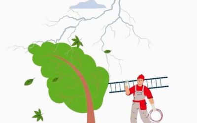 Falla eléctrica por causas climáticas moviliza a cuadrillas de la EEMQ en el Centro Histórico y zonas aledañas