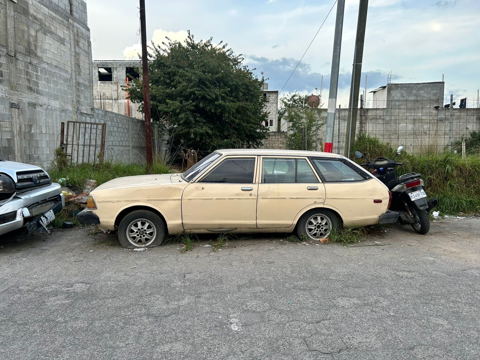 7ec16643-b9fa-4b41-9106-7dc53396ed2e.jpg