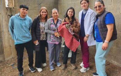 Rescatan a búho herido en el Hospital Regional de Occidente de Quetzaltenango