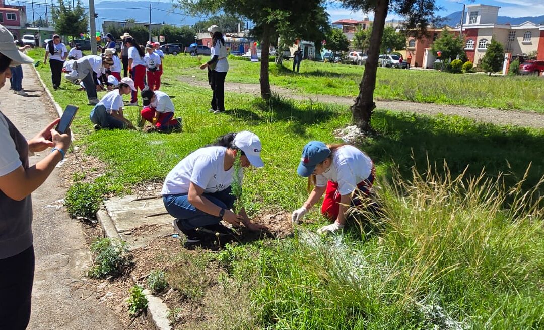 Recuperan área verde en la zona 11 de Quetzaltenango