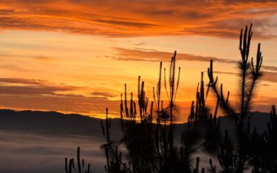 Solsticio de verano 2026: el hemisferio Norte registra el día más largo del año