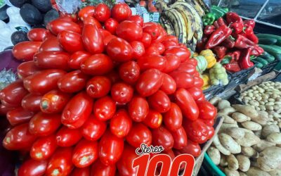 Estabilidad en precios de verduras, pero alertan alza en productos importados