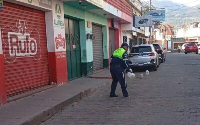 Agentes de PMTQ retiran obstáculos de calles