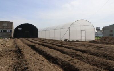Inauguran en Quetzaltenango proyecto de huertos e invernaderos para fortalecer seguridad alimentaria familiar