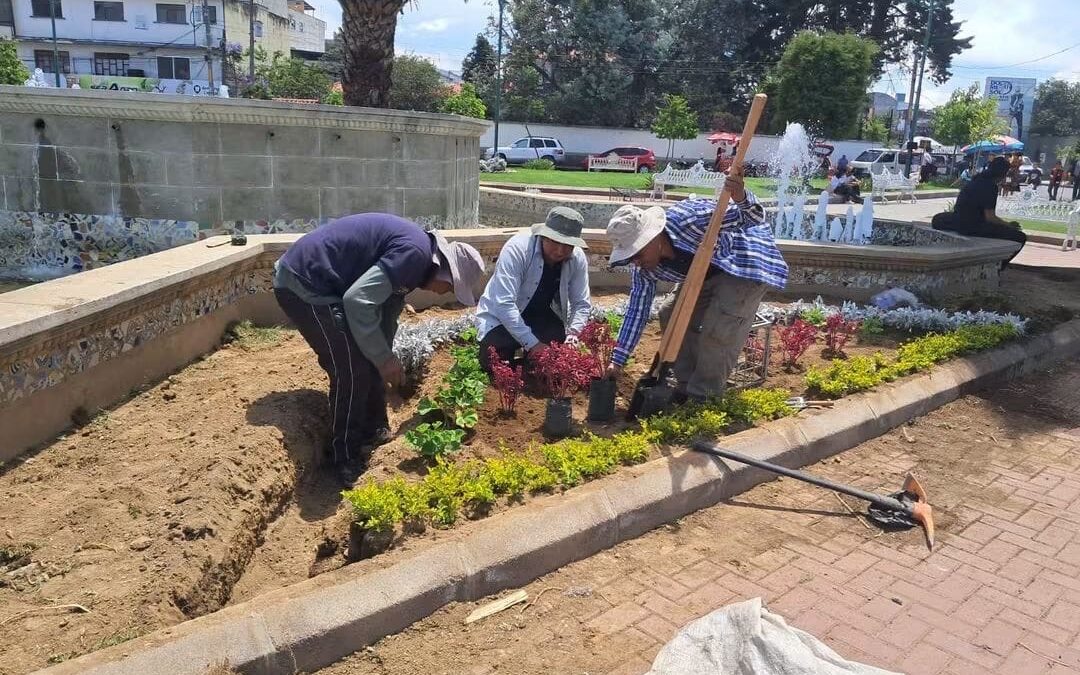Municipalidad de Quetzaltenango embellece el Parque Benito Juárez con trabajos de jardinización