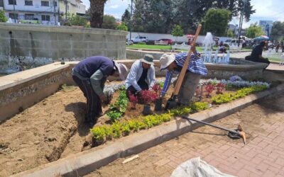 Municipalidad de Quetzaltenango embellece el Parque Benito Juárez con trabajos de jardinización