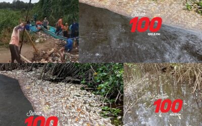 Crisis ambiental y social en Retalhuleu: Mortandad de peces e incomunicación golpean al Manchón Güamuchal
