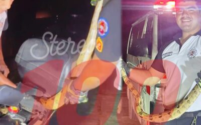 Localizan a un singular pasajero oculto en la estructura de una motocicleta en Retalhuleu