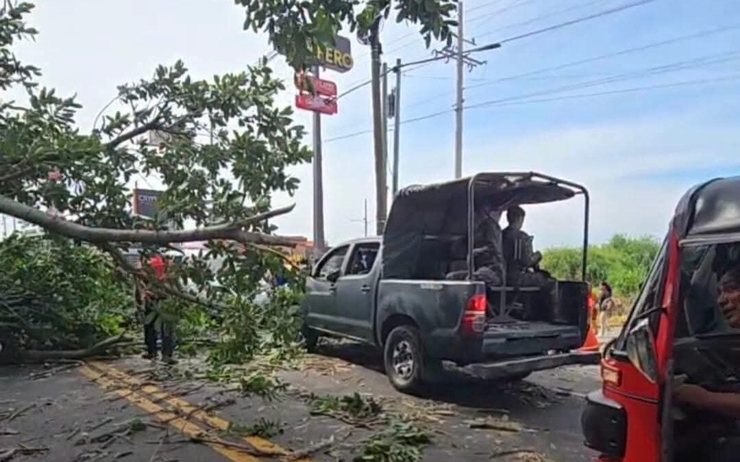 Árbol caído obstruye la ruta al Pacífico en Mazatenango: habilitado un solo carril.