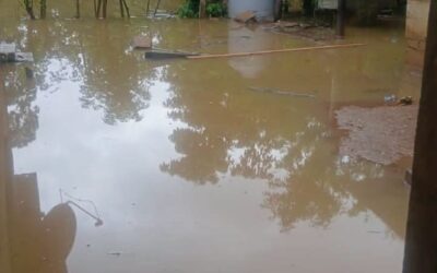 Inundación afecta viviendas en Fray Bartolomé de las Casas