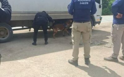 Camión con productos lácteos es consignado en Petén