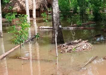 Conred reporta alta saturación del suelo en Izabal