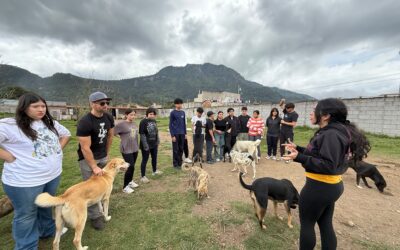Nueva Acrópolis fortalece el voluntariado en apoyo a refugio de animales rescatados en Quetzaltenango