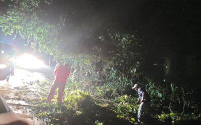 Finalizan trabajos de limpieza tras caída de árbol en km 186.
