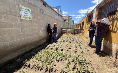 Impulsan la creación y seguimiento de huertos escolares en centros educativos de Quetzaltenango.