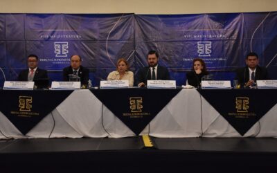 TSE emite acuerdo sobre plazos de renuncia para funcionarios y aclara que alcaldes y diputados no deben renunciar para reelegirse.