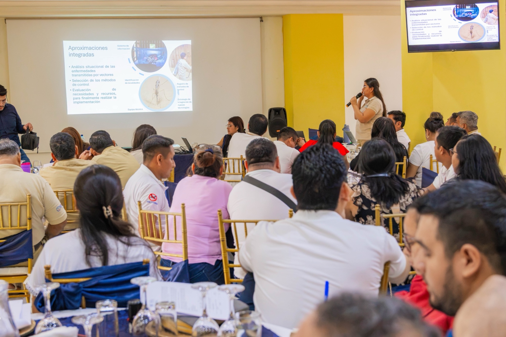 9c260ea0-8535-4915-92cc-156afcd04ab3-1.jpg