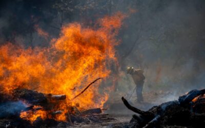 Prevención de incendios forestales