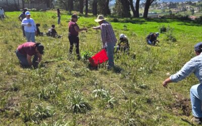 Siembra 1 mil 500 árboles en la Granja Penal Modelo de Rehabilitación Cantel