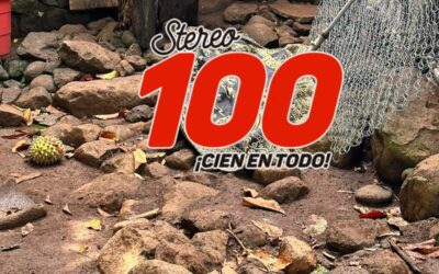 Asesinan a pareja en su vivienda en Suchitepéquez