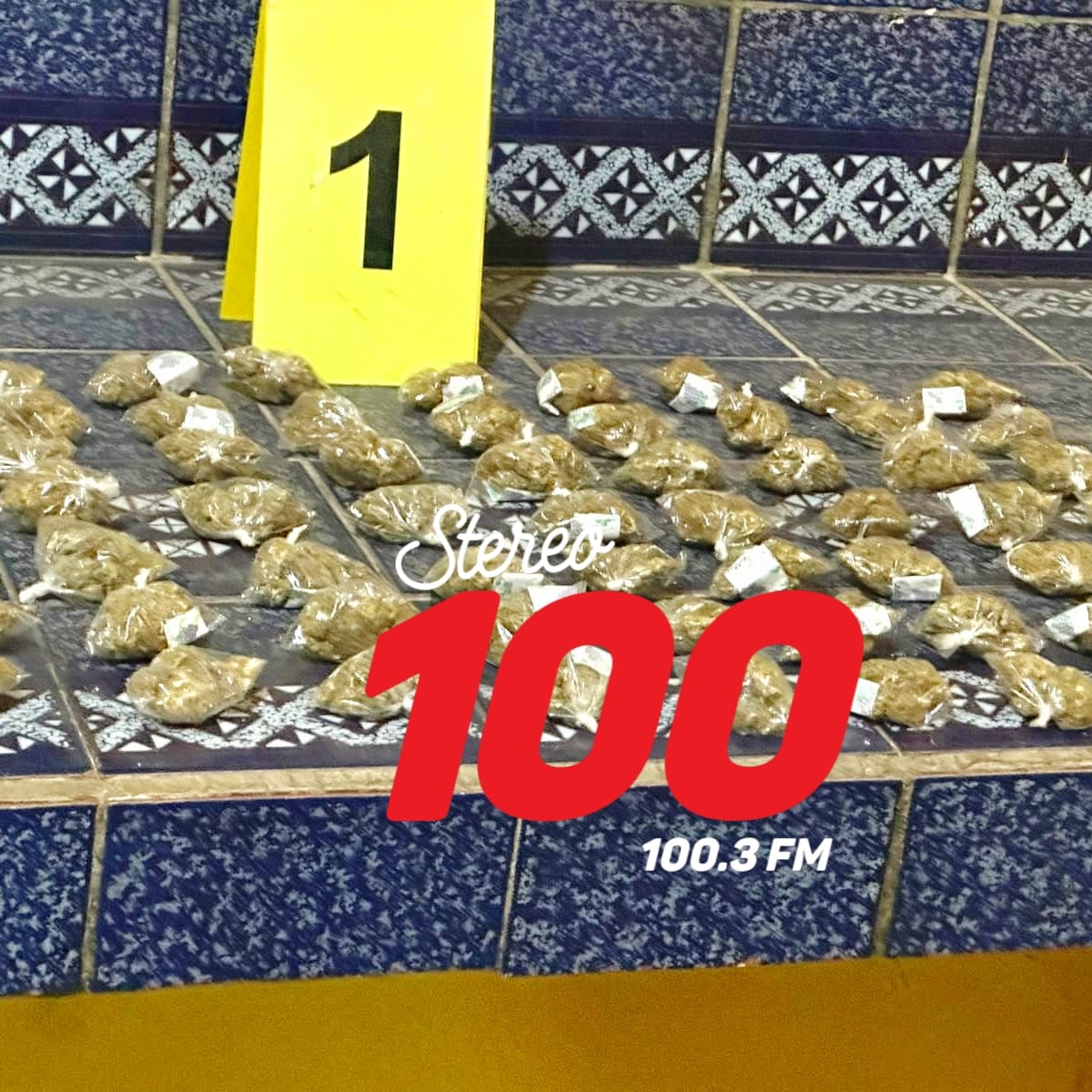 IMG-20260820-WA0081