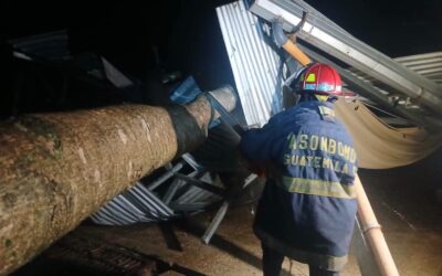 Fuertes vientos derriban árbol sobre vivienda en Nuevo Coatepeque.