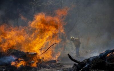 CONRED recuerda medidas por el Día Mundial de la Prevención de Incendios Forestales.