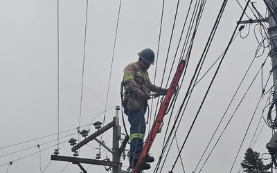 Retiran punta de árbol de tendido eléctrico en Almolonga