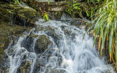 Turismo en áreas protegidas, una experiencia que conecta con la riqueza natural y cultural de Guatemala